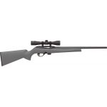 Remington 597 + Bushell 3-9x42