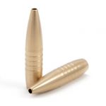 165gr Hunter Tactical