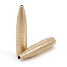 165gr Hunter Tactical